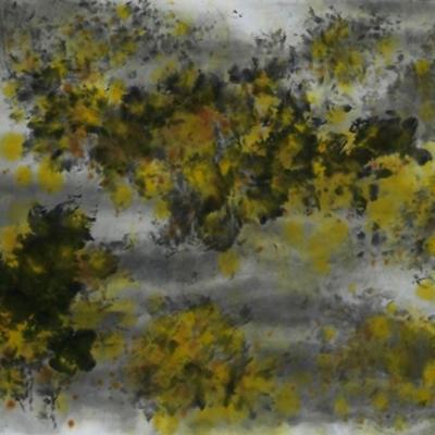 Oo008 60x110cm