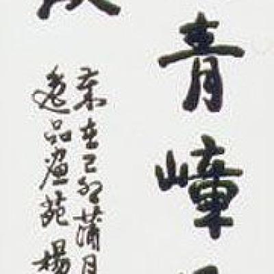 C005 