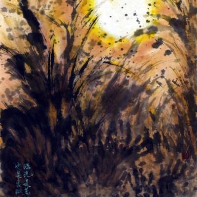 I010 146x76cm 